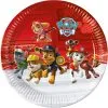 Bordjes Large Paw Patrol 23cm | Feestkleding Breda