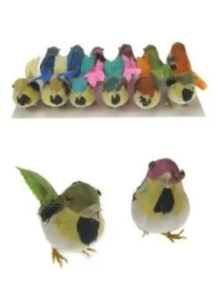 Feestkleding Breda Decoratie Volgeltjes