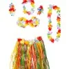 Feestkleding Breda Hawaii Set