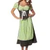 Jurk Dirndl Suedine Groen | Feestkleding Breda