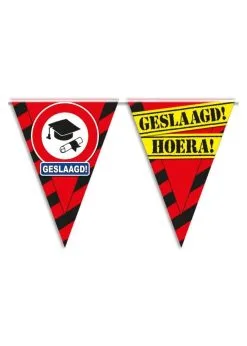 Vlaggenlijn Geslaagd | Feestkleding Breda