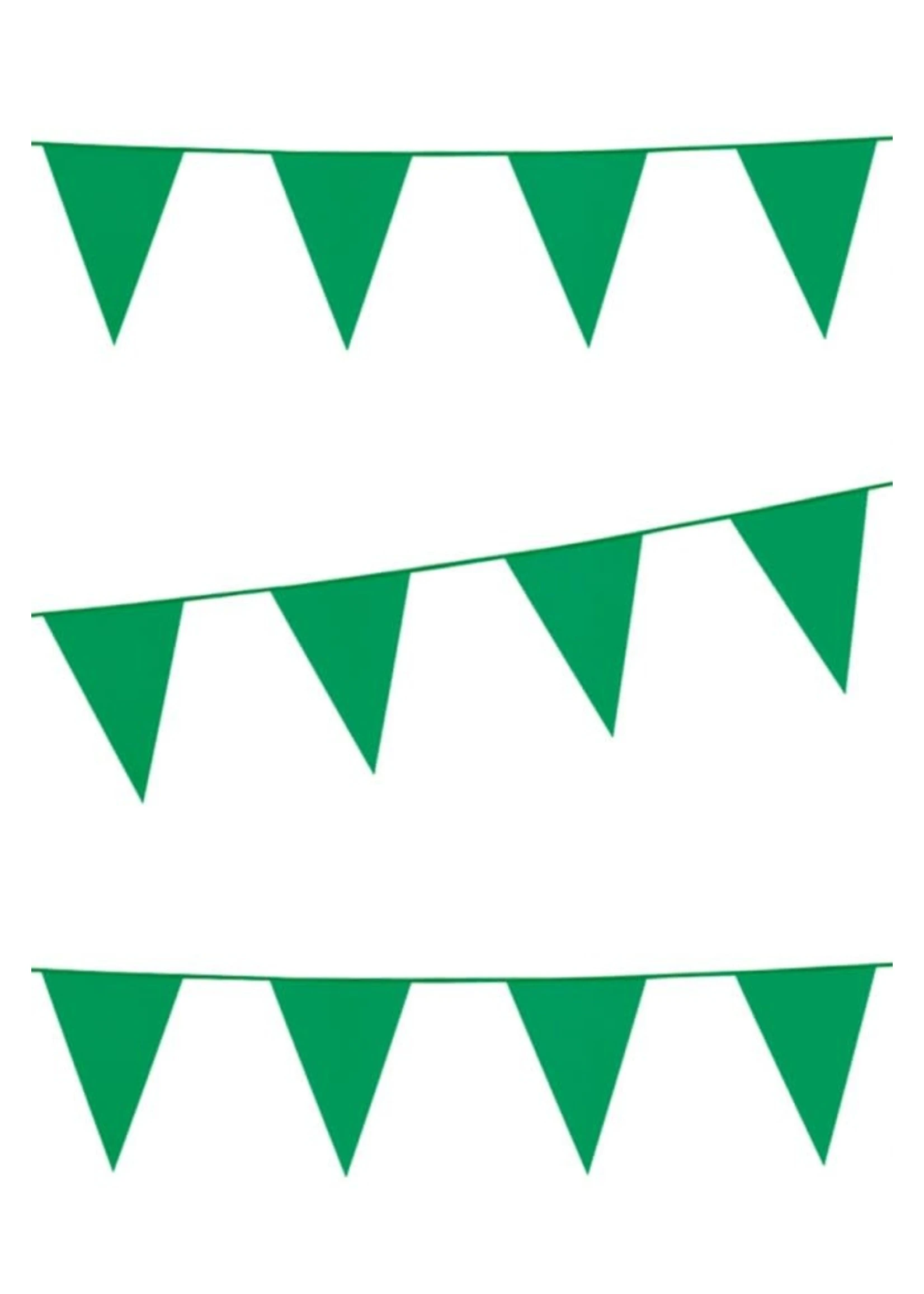 Vlaggenlijn Groen 10 Meter | Feestkleding Breda 1 Vlaggenlijn Groen 10 Meter | Feestkleding Breda