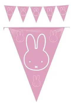 Vlaggenlijn Nijntje Roze | Feestkleding Breda